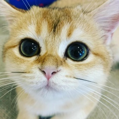 Анастасия Полетаева, 06.03