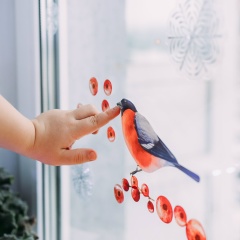 Лидия Вахромова, Нижний Новгород