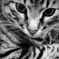 Марина Калантарова, 10.10.1978, Москва