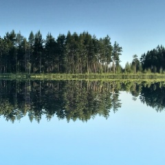 Иван Васильев, Москва