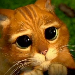 Снежана Еремеева, Омск