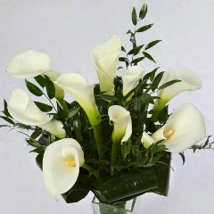 Гаухар Жумабаева, 13.11, Ижевск