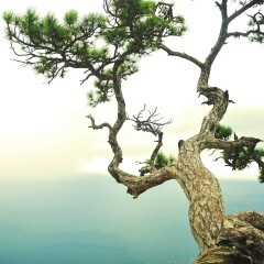 Алексей Баранов, 12.06