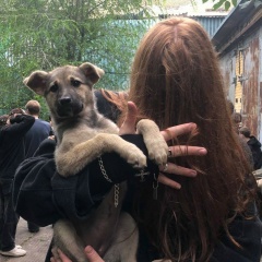 Влад Намиров, 27.12, Москва