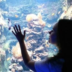 Антонина Еланская, 01.01, Скадовск