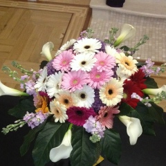 Ольга Хомяк, 08.10.1988, Кострома