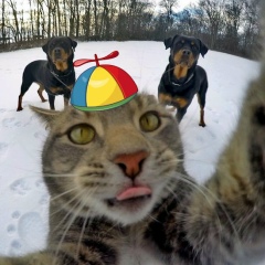 Олег Радченко, 17.04.1987, Днепр (Днепропетровск)