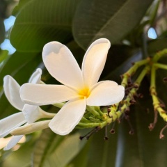 Марьям Мингалимова, 19.07.1986, Казань