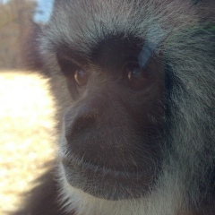 Слава Стрельченко, 08.12, Сургут