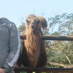 Лёха Орлов, 21.08.1989