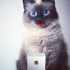 Екатерина Замчалова, 26.01.1986, Краснодар