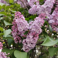 Ирина Туровцева, 18.02