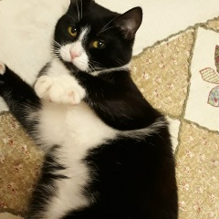 Варвара Степанович, 12.03, Москва