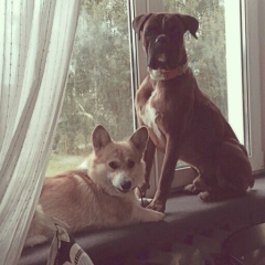 Альбина Крылова, Москва