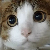 Леся Башкевич, 09.10, Минск