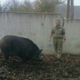 Серега Ботнар, 31.10.1990, Зеленодольск