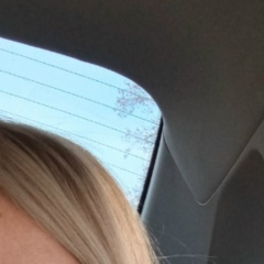 Олечка Васильева, Санкт-Петербург