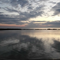 Артур Джавадов