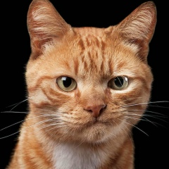 Тимур Шамсимухаметов, 07.09, Казань