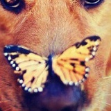 Ева Нельская, 07.06