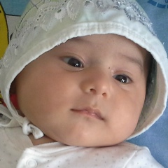 Tarix Meherremov, Баку