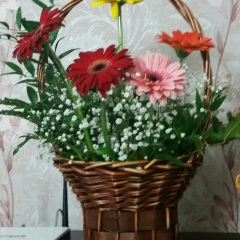 Кумыс Касикбаева, 06.04.1977, Актау