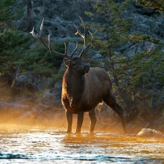Евгений Клюев, Санкт-Петербург