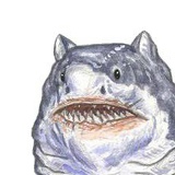 Данила Романов, 01.11, Москва