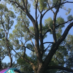 Максим Коростелёв, 10.07.1987, Санкт-Петербург