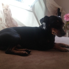 Garegin Avetisyan, 06.11.1992, Ереван