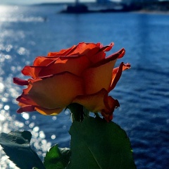 Ульяна Быстрова, 06.04, Санкт-Петербург