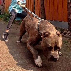 Ваня Зуев, 14.07.1998, Краснодар