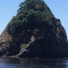 Светлана Салихова, 24.04.1988, Владивосток