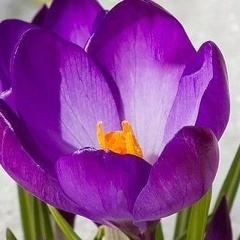 Марина Долгих-Груздева, 11.11, Пермь