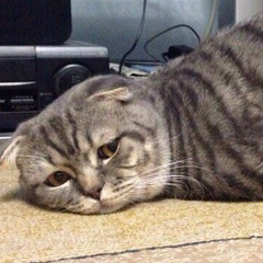 Катя Каторгина, 07.02