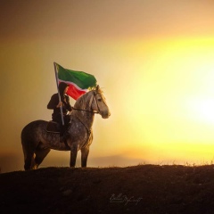 Арби Гумаев, Грозный