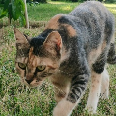 Алена Елакова, 13.05.1985, Екатеринбург