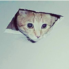 Андрей Князев, Москва