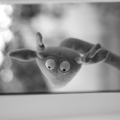 Вильям Петренко, 22.08, Харьков