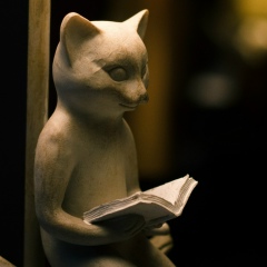 Андрій Пушкарьов, 07.08.1987, Днепр (Днепропетровск)