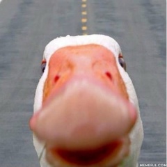 Антонио Бобков, Москва