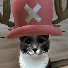 Дамир Усенов, 28.08.1994, Астана