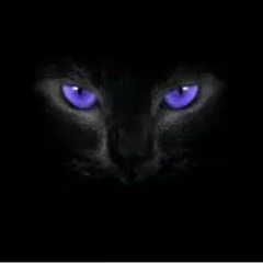 Николай Дзема, 06.02, Покровск / Красноармейск