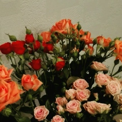 Наталья Сырма, 01.04, Ростов-на-Дону