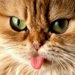 Вадим Шалимов, 16.06, Москва