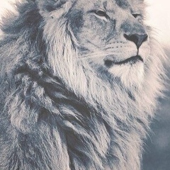 Хатуев Сайд-Магомед, 26.01