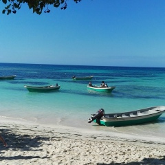 Александр Агеенко, 18.11