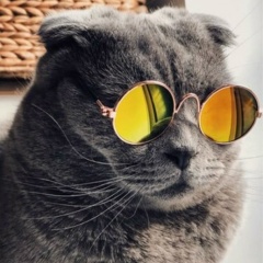 Александр Таранов, 17.06.1987