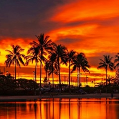 Антон Бокарев