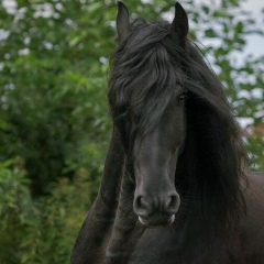 Islam Islam, 03.10.1970, Москва